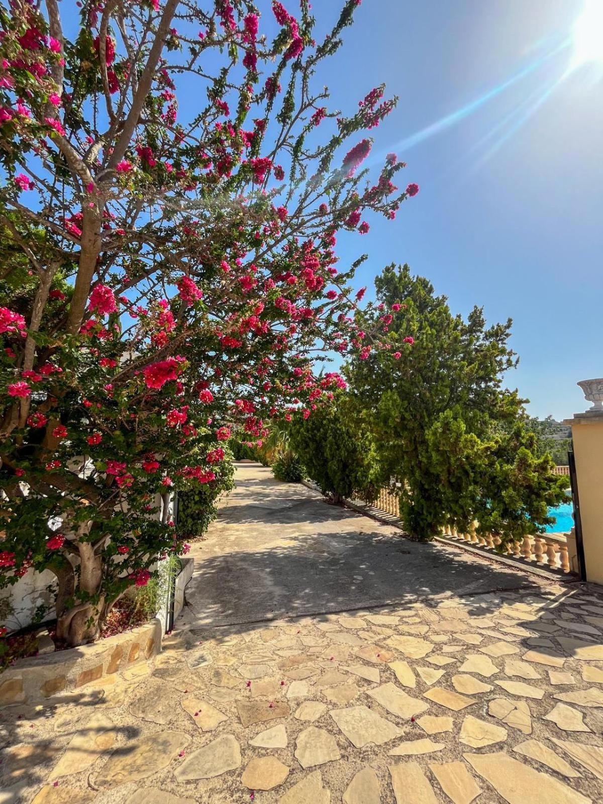 Casa Mar Benissa Calpe Apartment Bagian luar foto